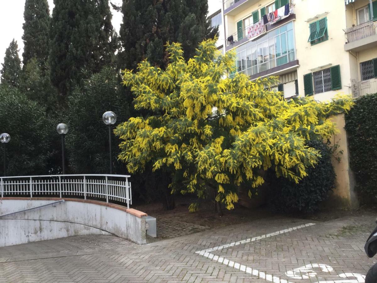 伊莎贝拉公寓 佛罗伦萨 外观 照片